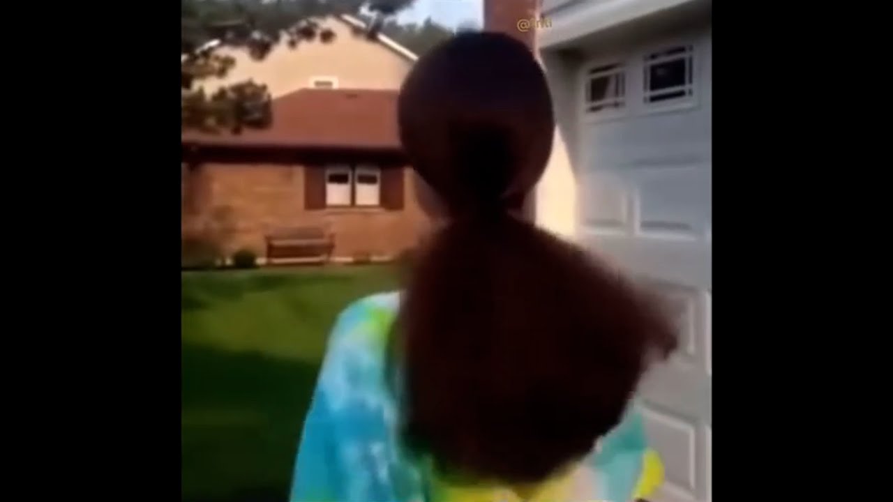 Every AI-Extended Vine Meme • AI Generated Vines • Vines With Alternate Endings