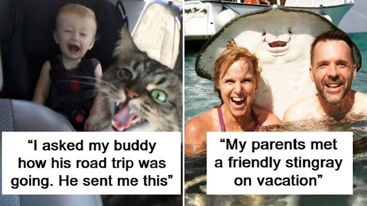 Vacation Photos So Hilarious People Had To Share Them With The World 😂