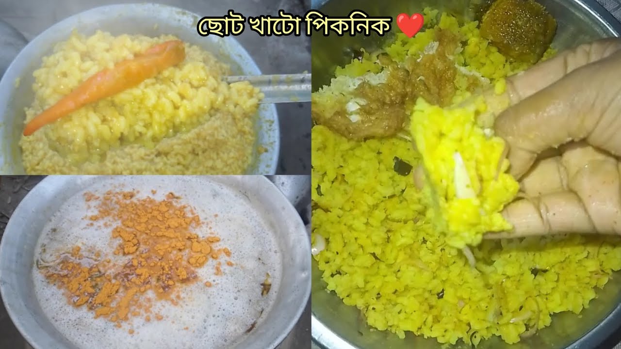 ভাইপো  ভাইজিকে নিয়ে ছোট খাটো পিকনিক ❤️❤️ll picnic vlog❤️❤️