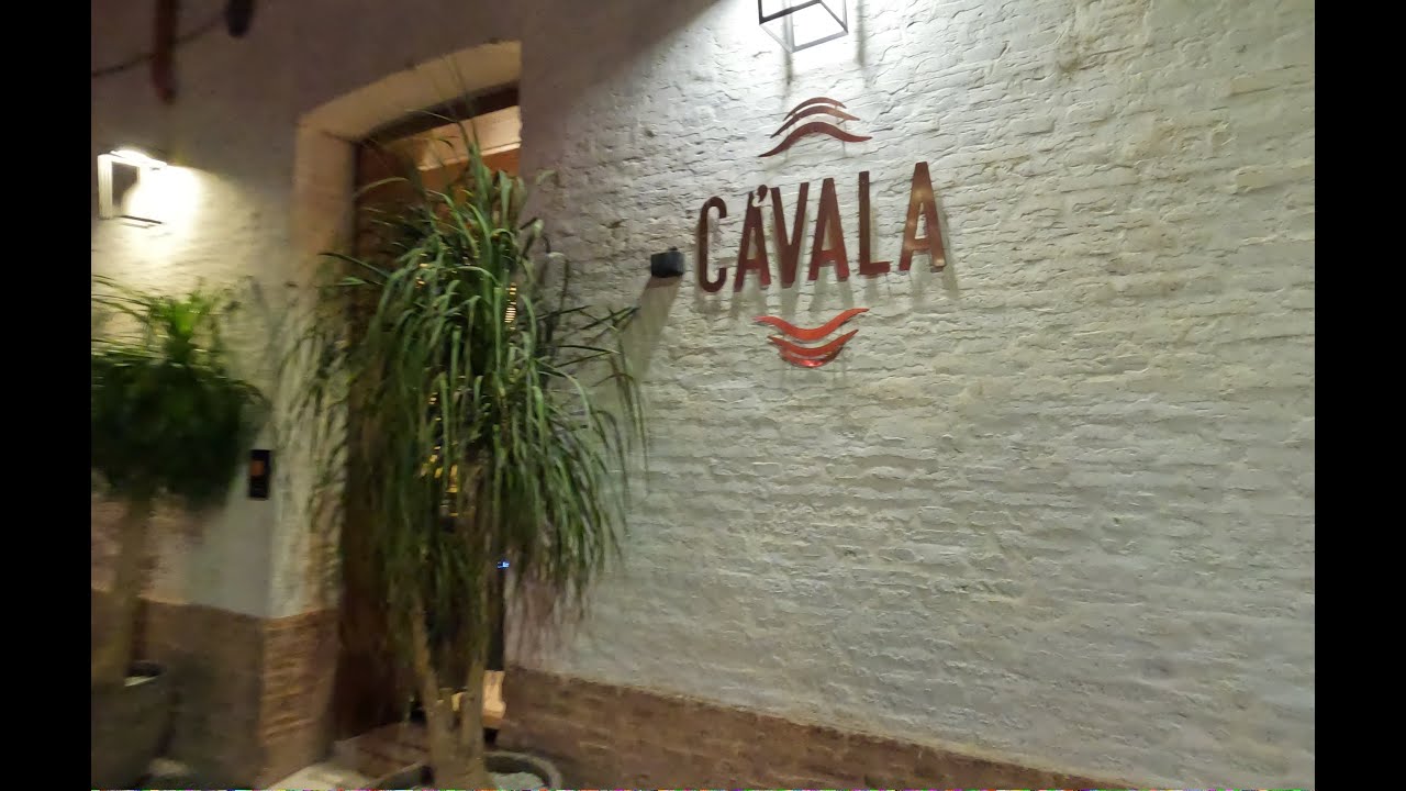 Exploring Malaga's vibrant dining scene! More of Malaga's Vibrant Dining Hotspots!