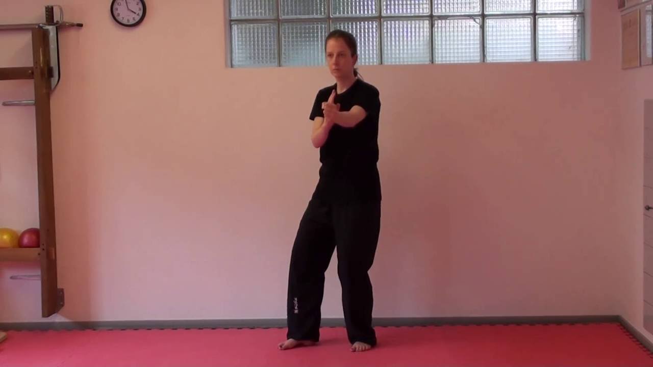 Wing Chun - Gan Sao - Tan Sao - Huen Sao - Pak Sao mit Tina Luethi