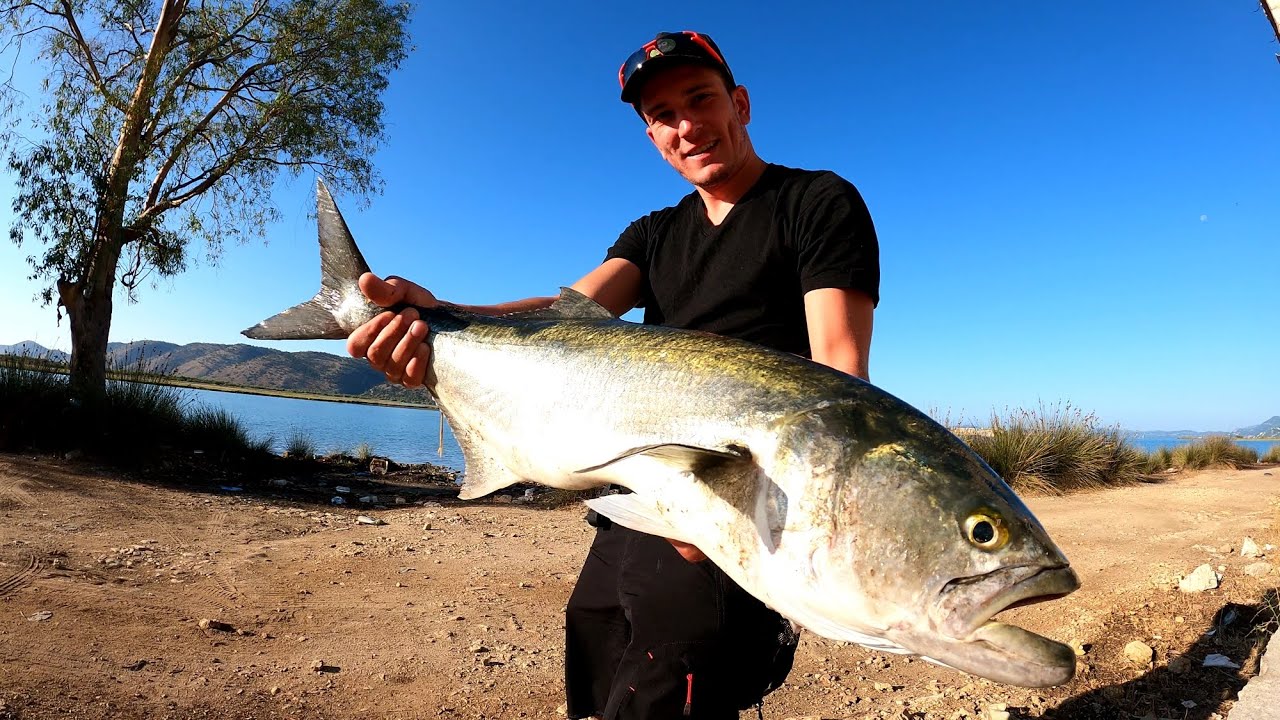 Pecanje Zubatice u Albaniji 4.1kg