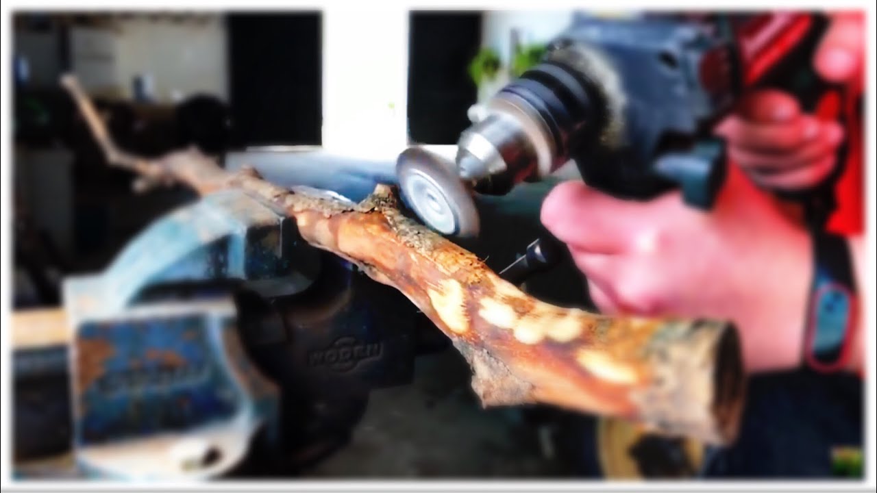 Como curar o tratar madera para acuario en #acuariotuberSevilla