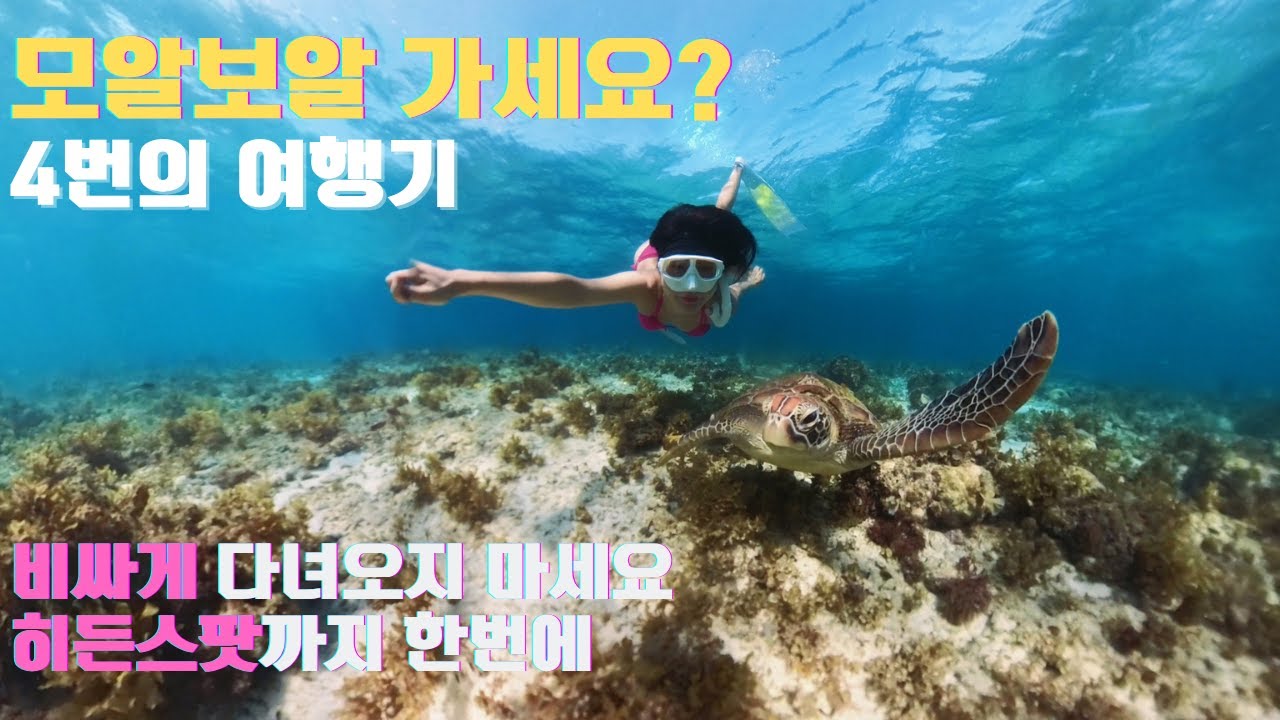 모알보알 가기 전 꼭 보세요