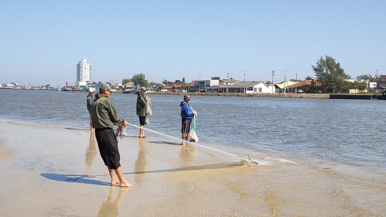 Pesca de tarrafas, 27-08-22, Barra de Tramandaí, botos ajudando os pescadores.