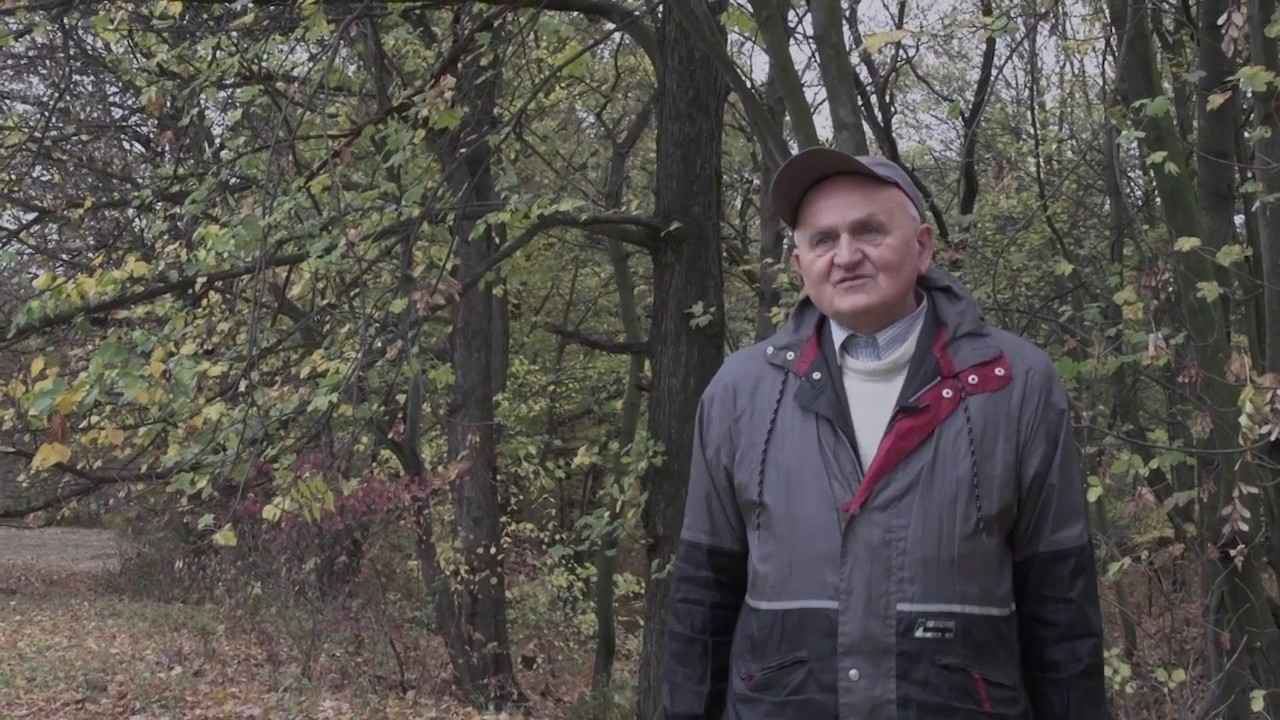 IWANOWICE DAWNIEJ CZ.13 - Ocalmy od zapomnienia dzieje wyzwolenia - Mogiły z I Wojny Światowej