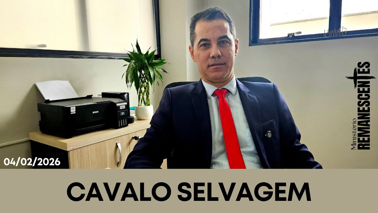 Cavalo selvagem 