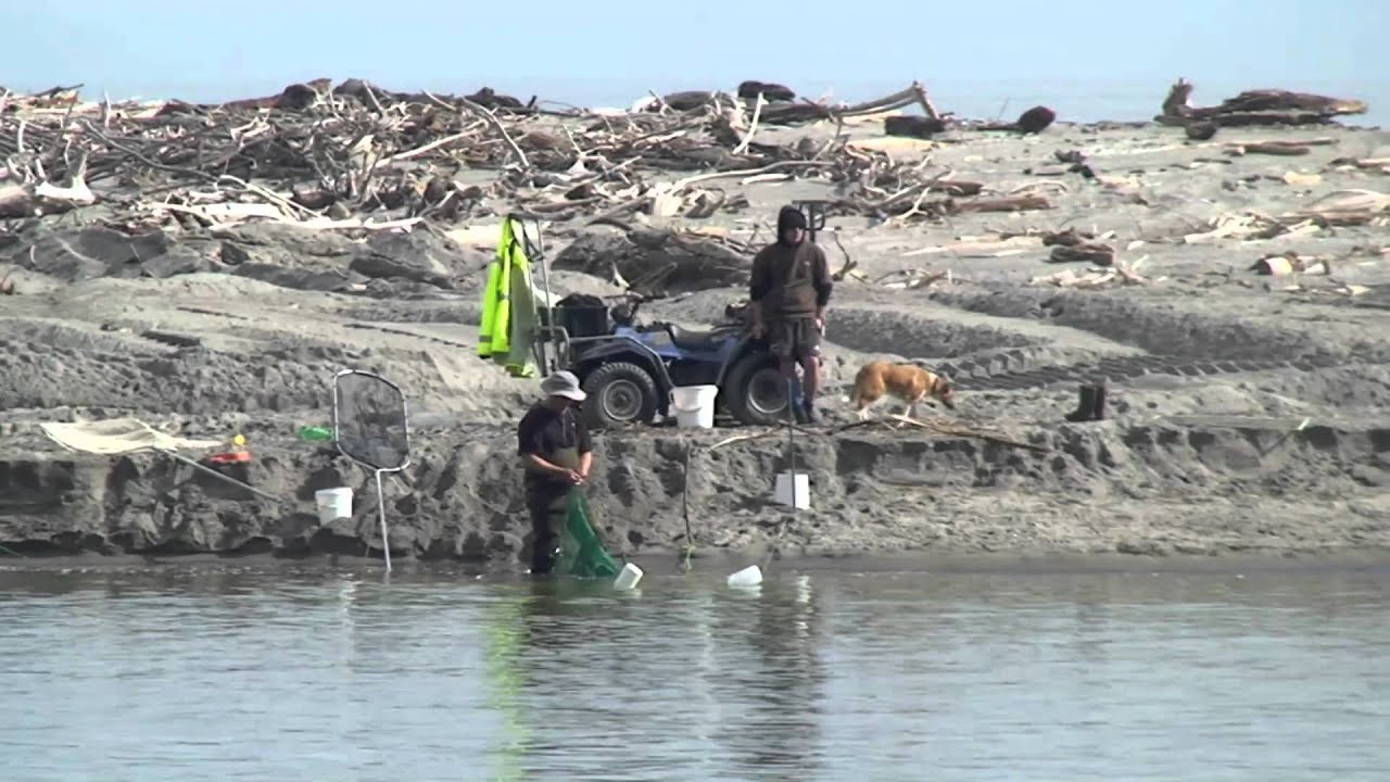 Whitebaiters in the Eastern Bay  WHAKATANE  NZ