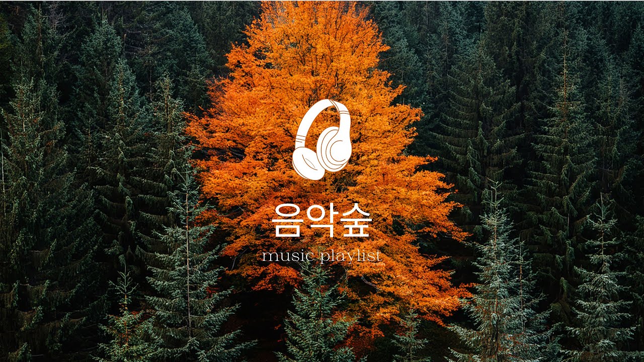 Playlist 차분하게 시작하는 오늘의 플레이리스트 | 상쾌하게 시작하고 차분해지는 음악  | 음악숲플리🎄