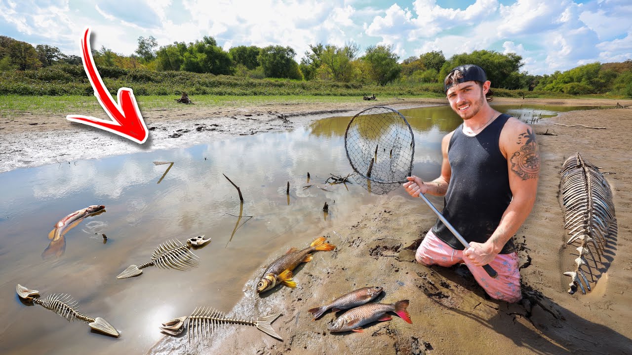 Saving all these Abandoned Fish from Dying… (Rescue Mission)