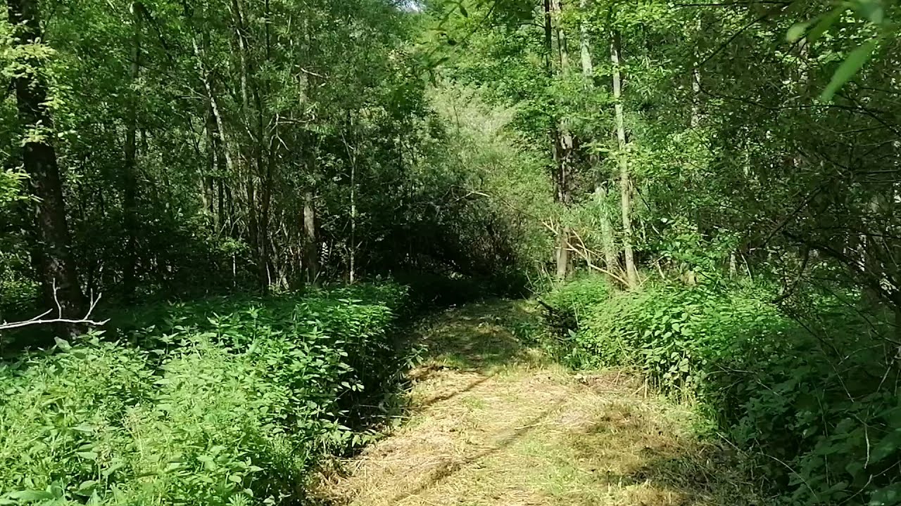 Hohenlimburg Bachaue Koenigsee