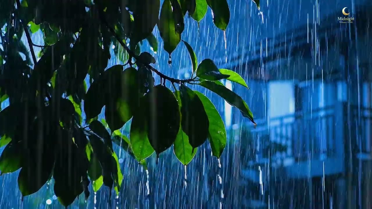 Heavy Rain for Deep Sleep 🌙 Dark Night Forest Ambience | Relax, Study, Beat Insomnia (3 Hours)