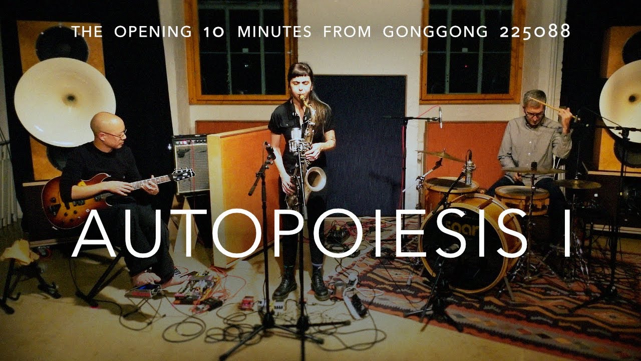 Gonggong 225088 (Han-earl Park/Yorgos Dimitriadis/Camila Nebbia): ‘Autopoiesis I’