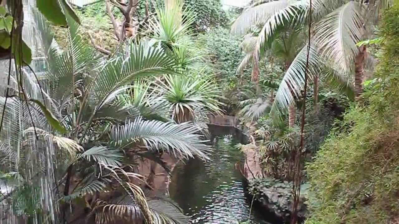 Henry Doorly Zoo- Omaha, Nebraska