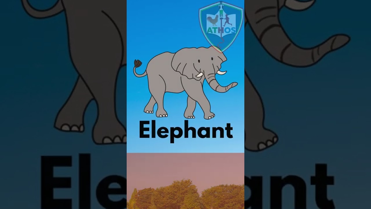 Short Learn the names of these animals in Dinka language