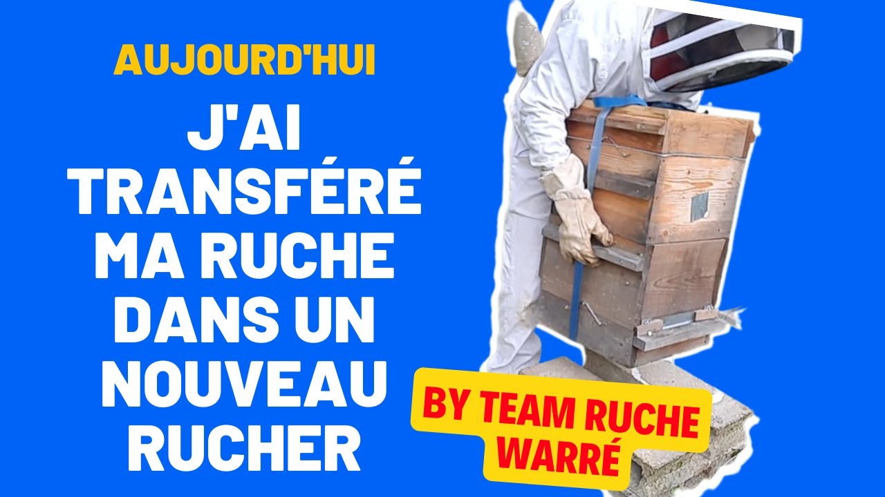 Comment déplacer une ruche sur un nouveau rucher de A à Z