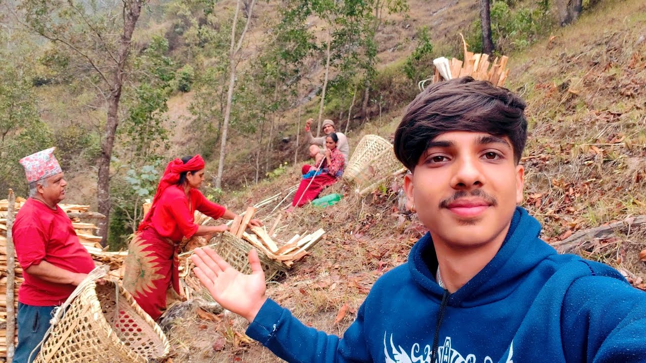 जंगलबाट दाउरा संकलन 🌲 | गाउँको वास्तविक जीवन