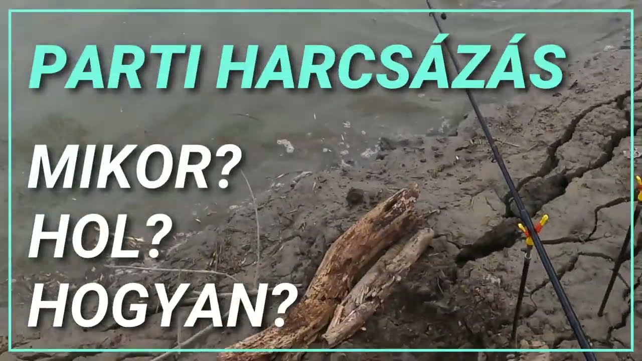 Harcsahorgászat partról, TAVASSZAL, folyóvízen-MIKOR? HOL? HOGYAN?