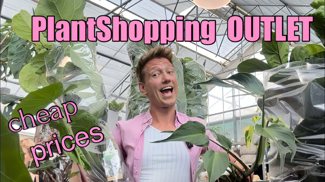 PlantShopping OUTLET insane prices 😵🪴