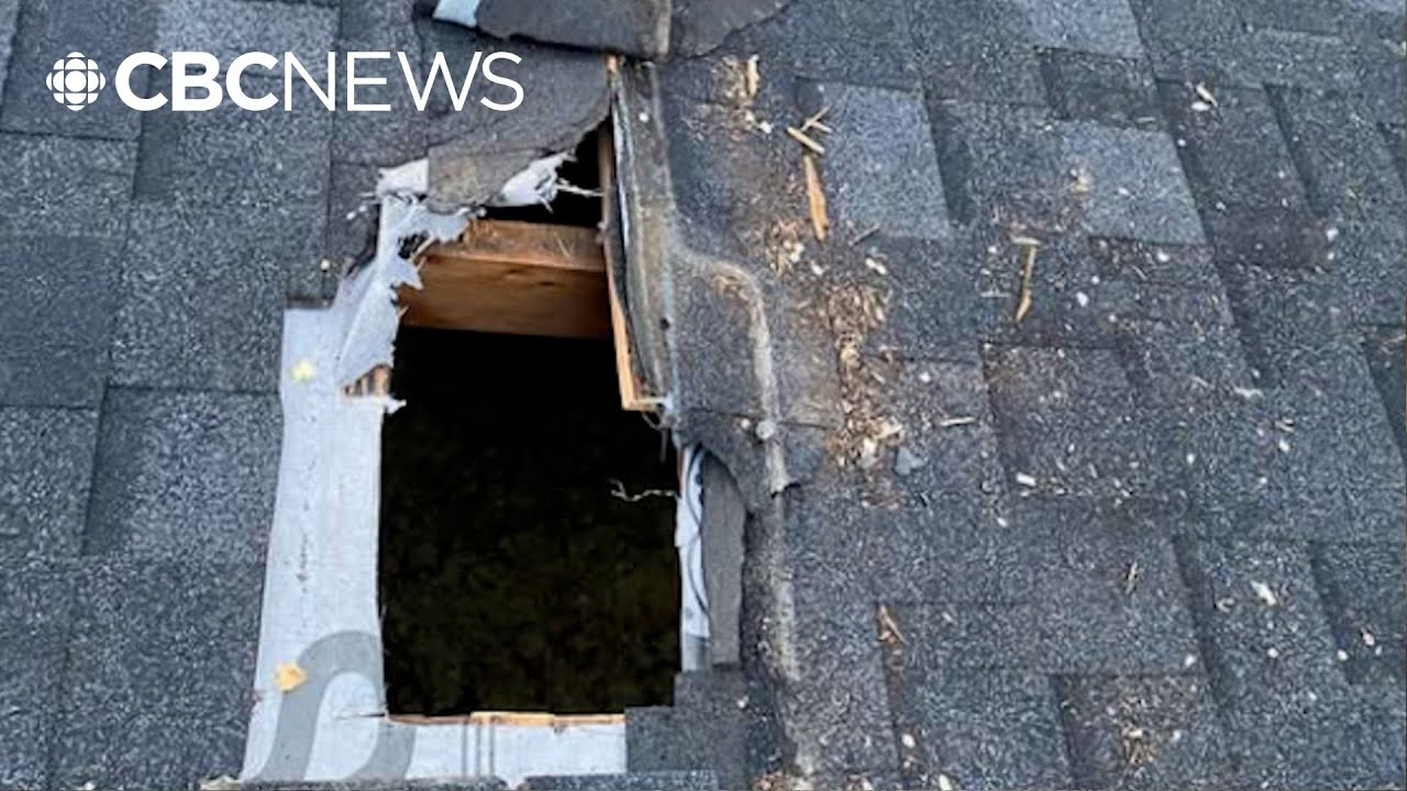 Saskatoon family is still puzzling over an encounter with an intruder who burrowed into their attic