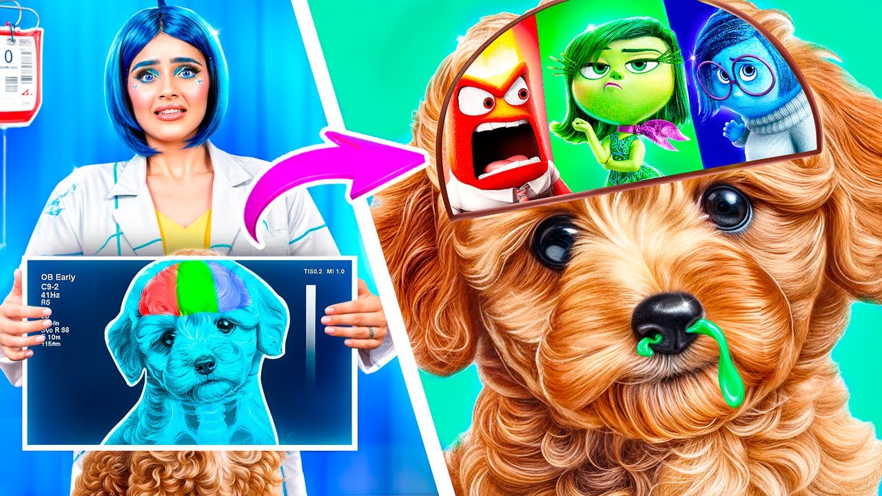 Extreme Pet Rescue in Hospital! Inside Out 2!