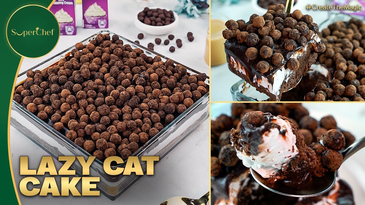 Lazy Cat Cake Recipe | Easy & Cute Lazy Cat Cake Recipe Step by Step
