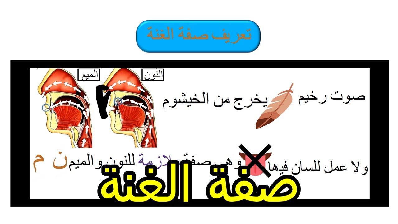الضبط الاحترافي للغنة: مراتبها ومتى تكون مفخمة ومرققة؟
