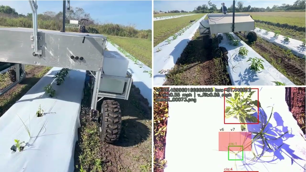 🚜🌱 AI-Powered Precision Weed Control for Plasticulture Systems