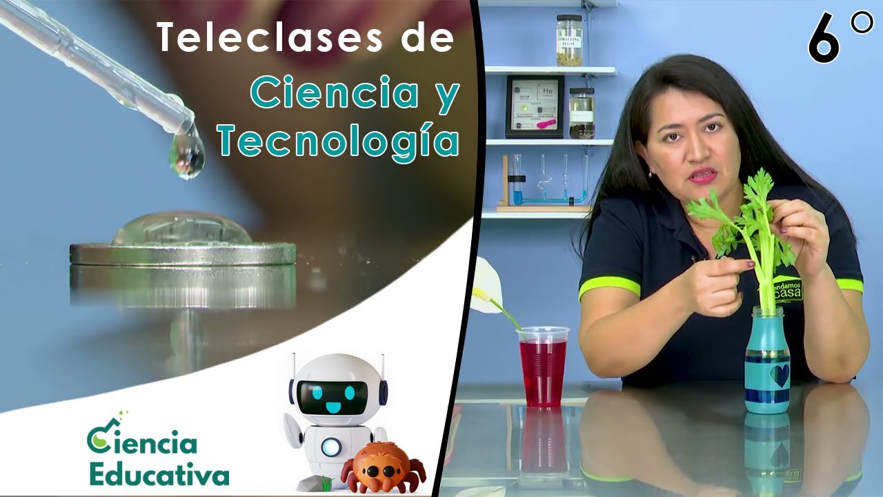 Tensión superficial y capilaridad | Teleclases CyT 6° Grado