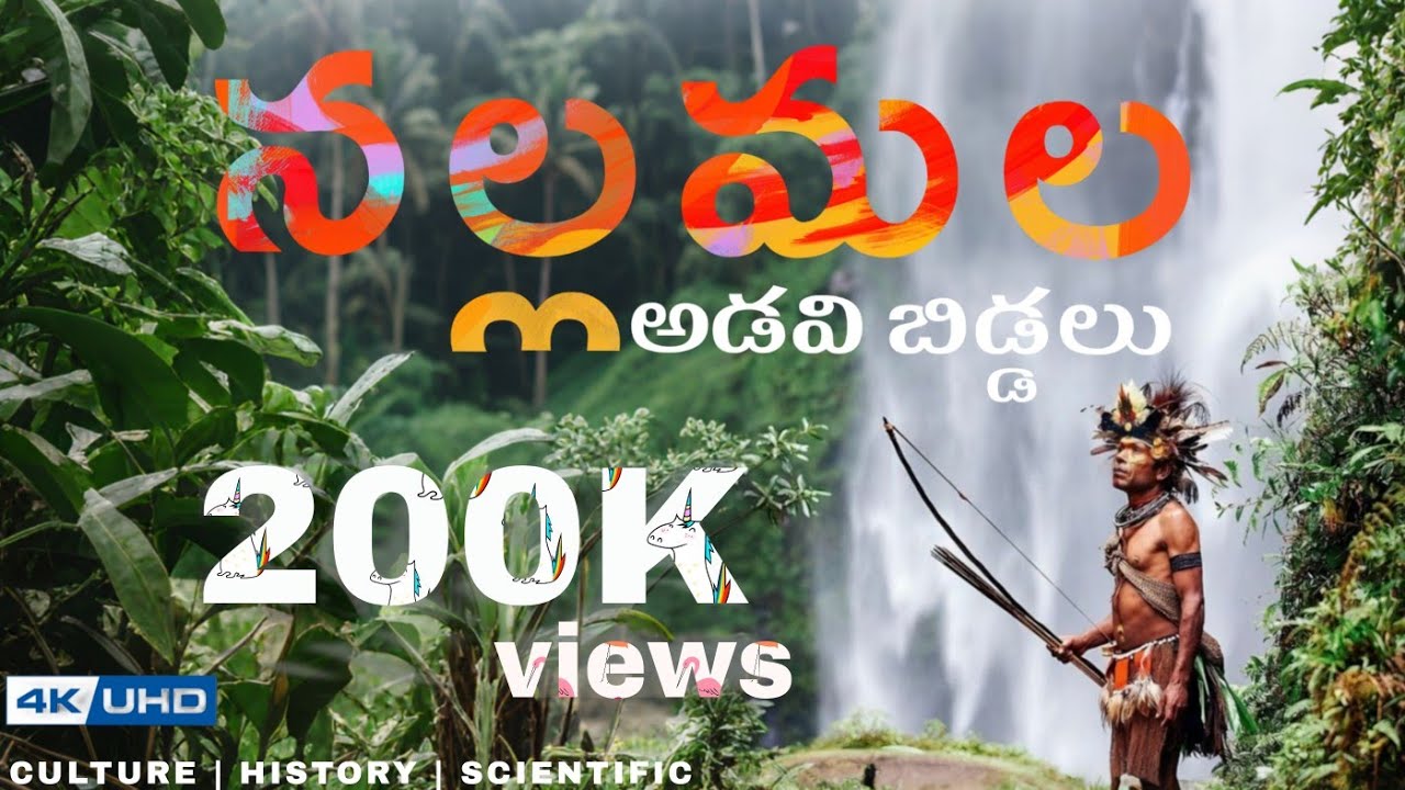Chenchu Tribe | చెంచు తెగ | నల్లమల అడవి బిడ్డలు | బౌరాపూర్ జాతర | Nallamala Forest