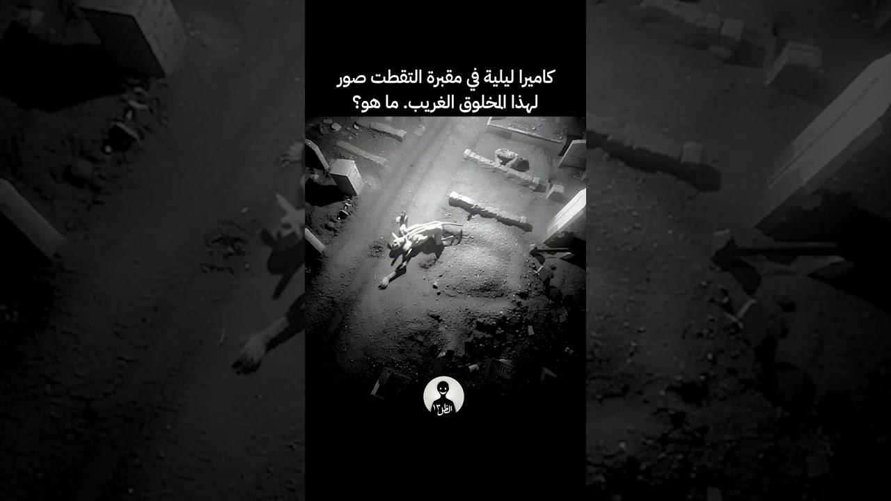 كاميرا ليلية في مقبرة التقطت 