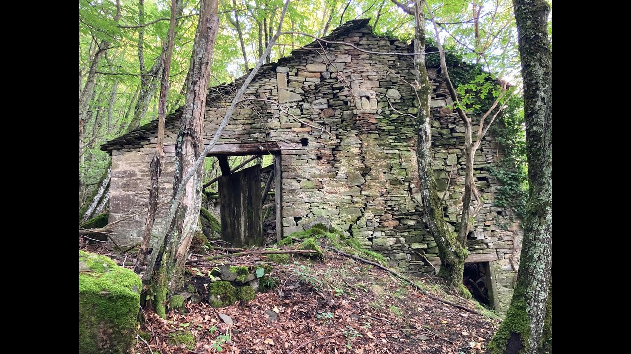 I metati di Rovinarasa a Fellicarolo