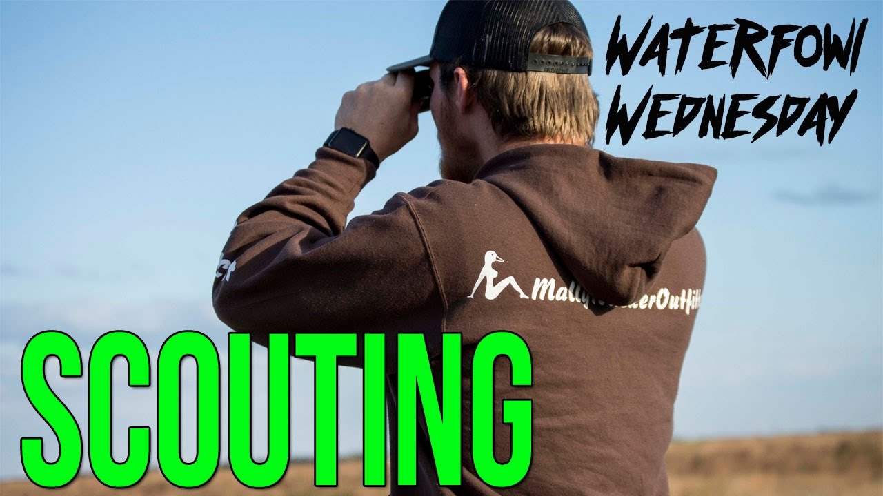Scouting Ducks And Geese | Waterfowl Wednesday