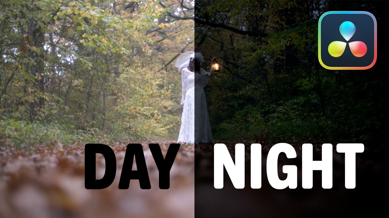 DAY to NIGHT - CREEPY LOOK with RELIGHT on Davinci Resolve