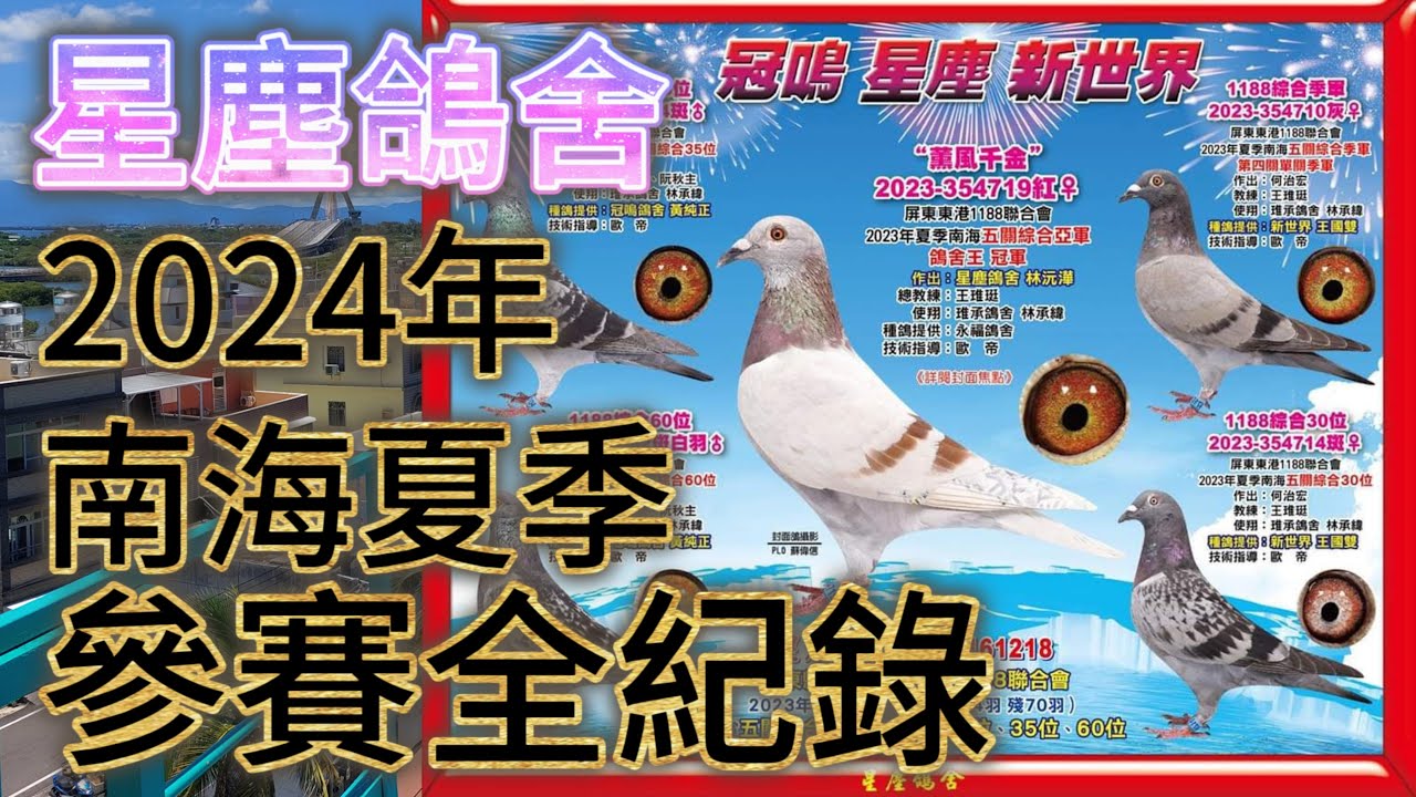 24年南海夏季星塵鴿舍賽鴿全紀錄！ #養鴿 #鴿舍 #選手鴿 #屏東 #星塵鴿舍 #東港東隆 #1188 #海翔