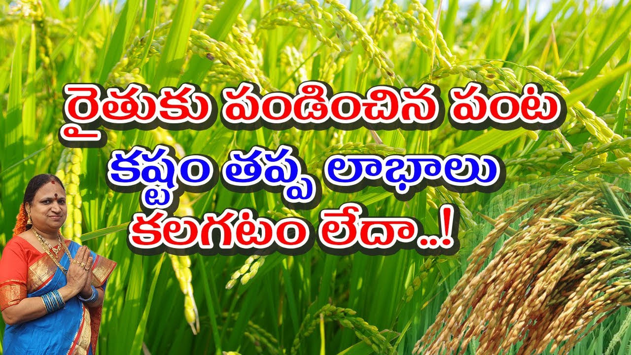 రైతుకు పండించిన పంట కష్టం తప్ప లాభాలు కలగటం లేదా..! | G. Sitasarma Vijayamargam