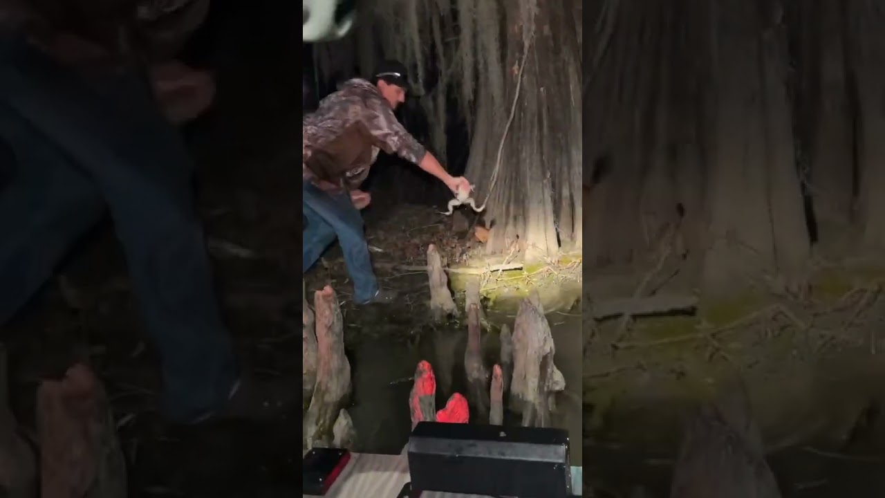 Froggin in South Louisiana! #frogs #frogging #louisiana