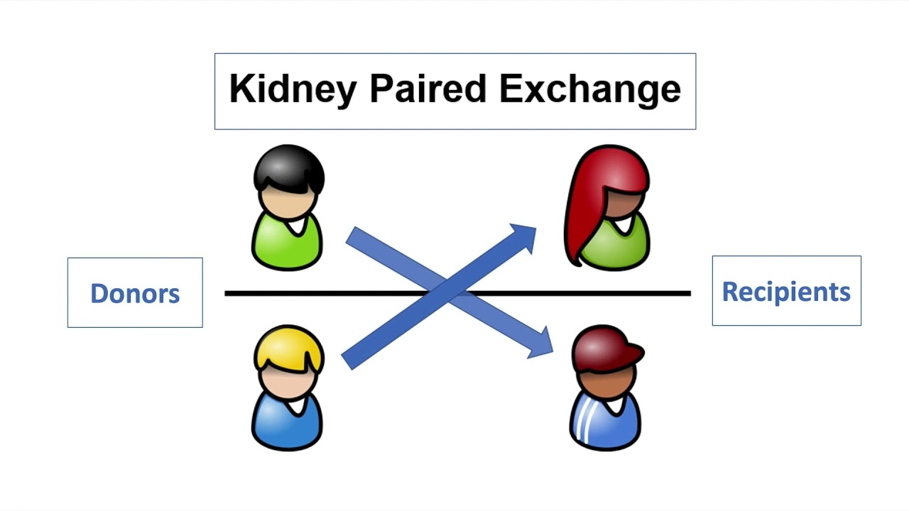 Living Donation: Compatibility-Related Issues Part 2