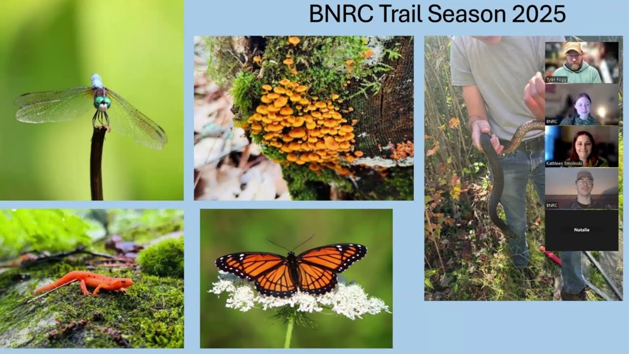 Trail Talk: Ask Us Anything Webinar