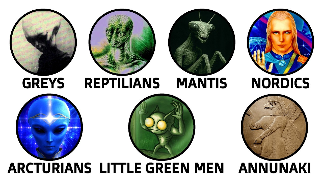 Most Common Alien Species Explained in 10 Minutes