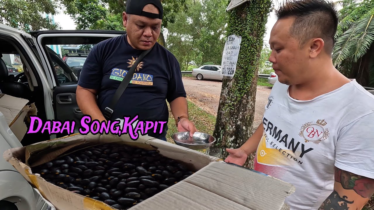Amran Bawa 50KG Buah Dabai Song,Kapit Ke Johor // Gred A // Kurma Borneo // Dabai Dari Sarawak //