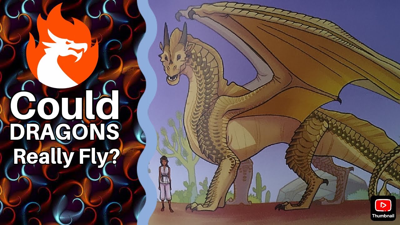 Could Dragons Really Fly??