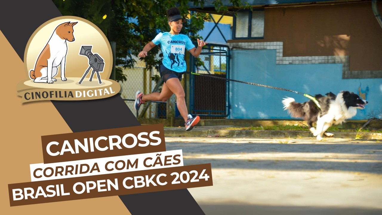 Canicross | Corrida com cães | Cinofilia Digital