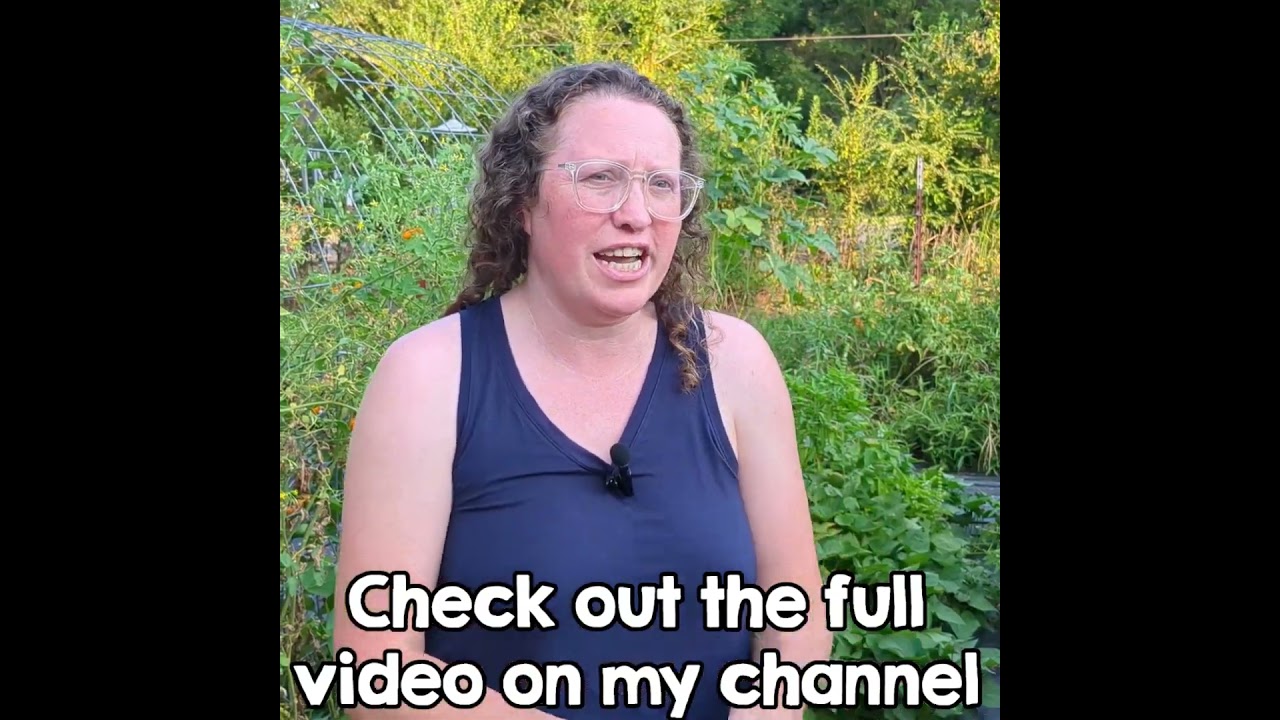 Incredible 60 lb Garden Harvest After Only 6 Days! #shorts