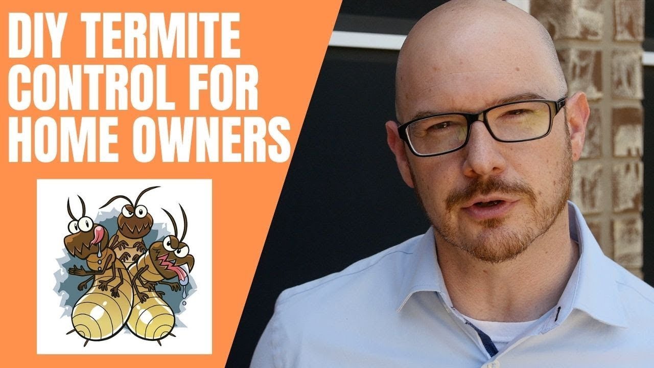 DIY Termite Control For Home Owners