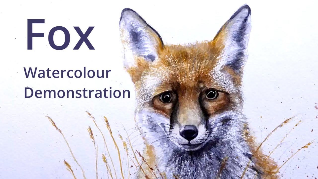 How to  paint a Fox - Watercolour painting demonstration
