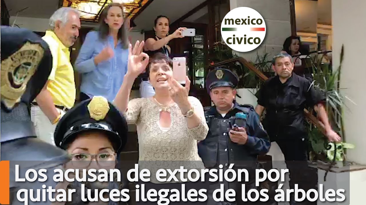 Los acusan de extorsión por quitar luces ilegales de los árboles | Poder Anti Gandalla