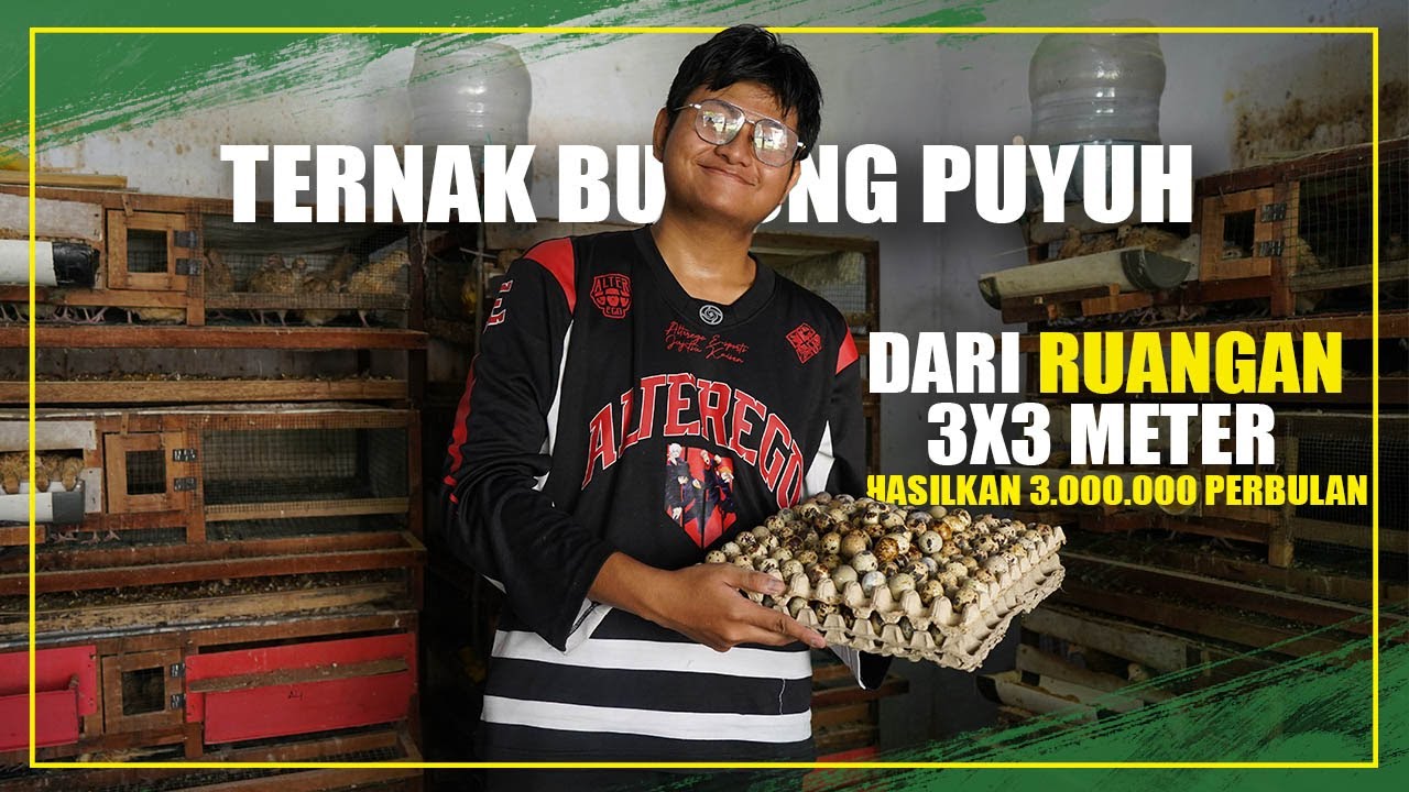 MINIM LOKER, PEMUDA INI HASILKAN JUTAAN DARI TERNAK PUYUH