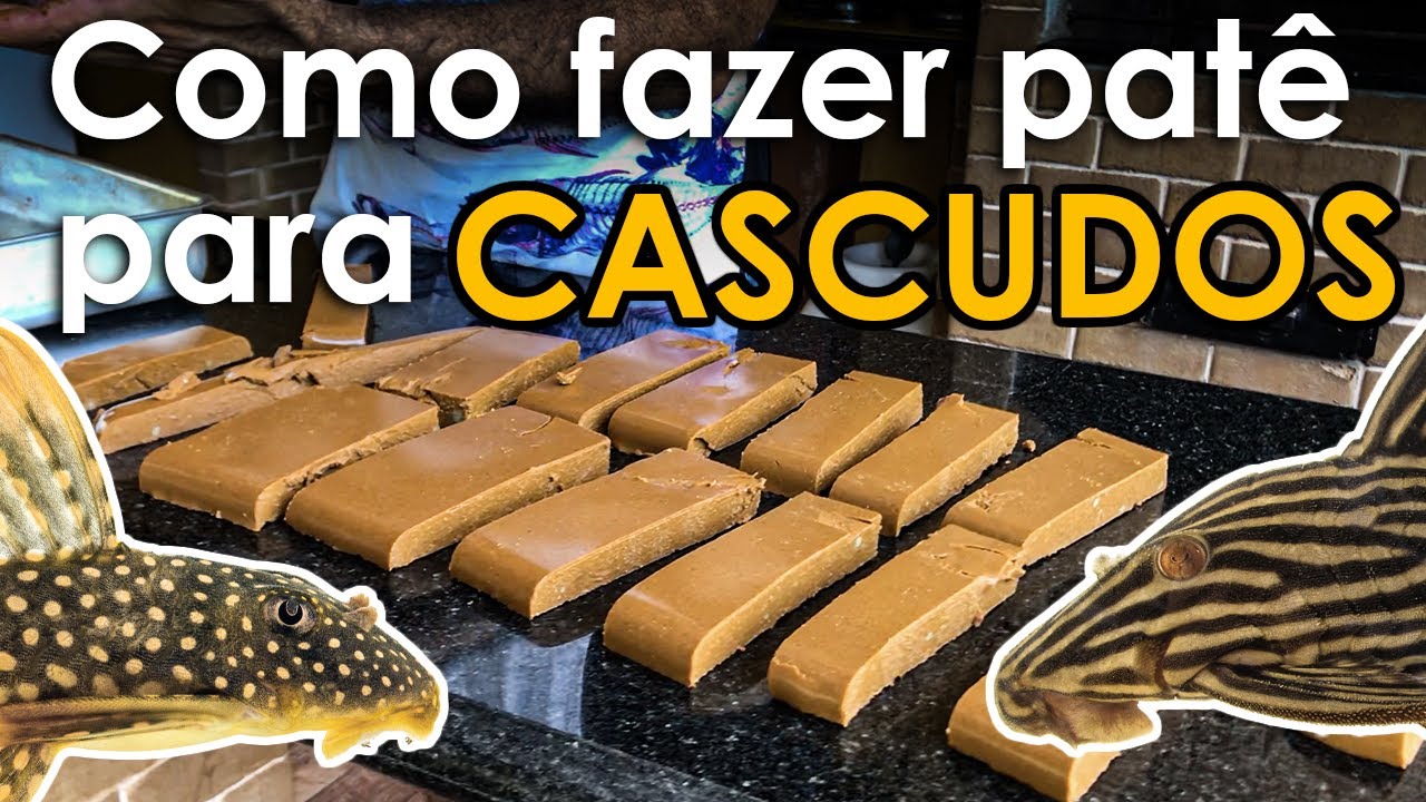 Como fazer PATÊ PARA CASCUDOS (e outros peixes)