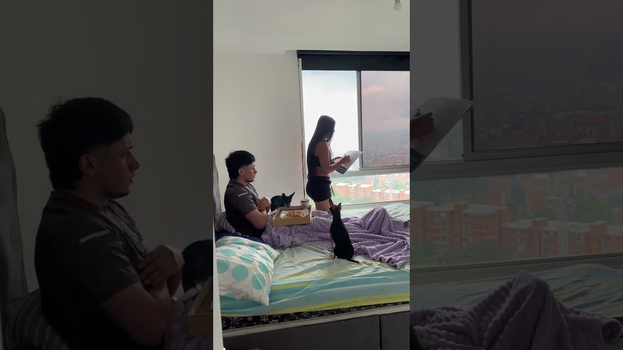 Se reveló